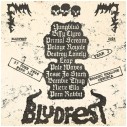 bludfest_2026_banner.jpg