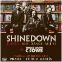 shinedown_plakat.jpg