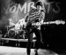 013 - The Wombats